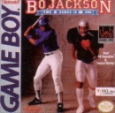 Bo Jackson Hit and Run